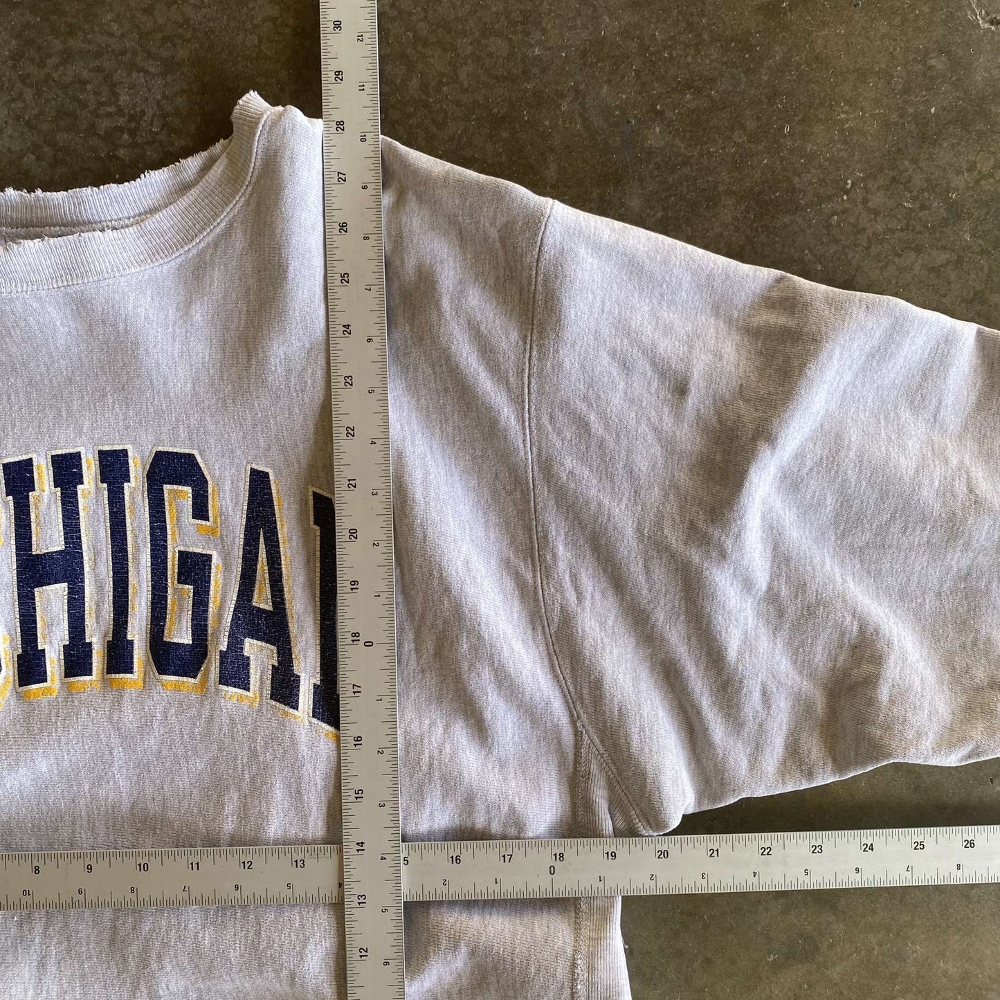 Vintage 90s Michigan Champion Reverse Weave Crewneck- XL