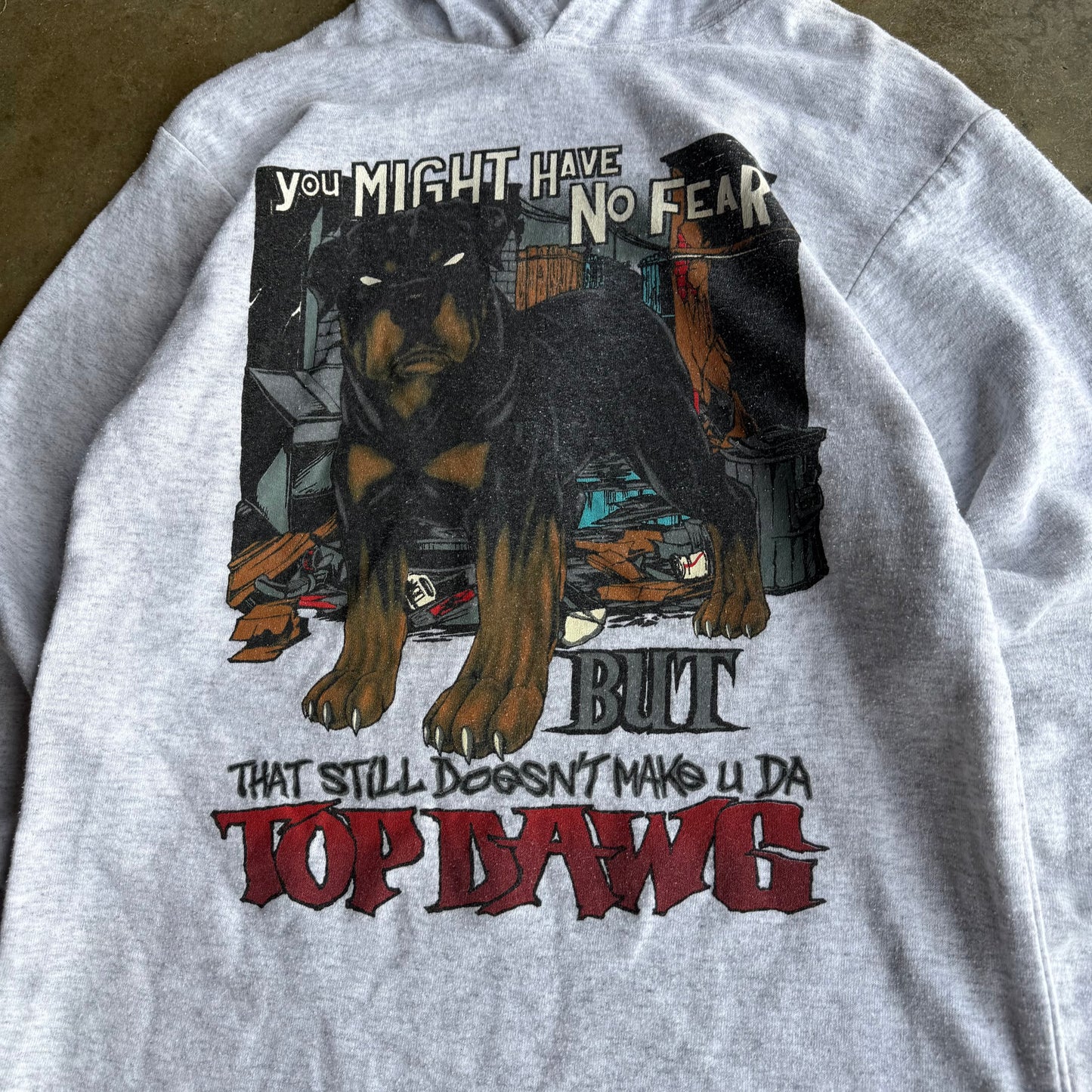 Vintage 90s Big Dawgs Hoodie - M