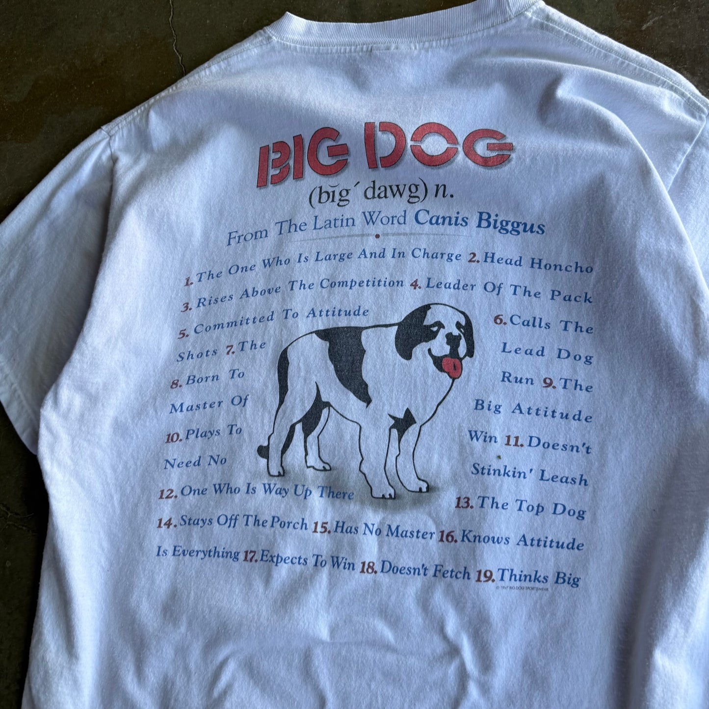 Vintage 00s Big Dogs Tee - L