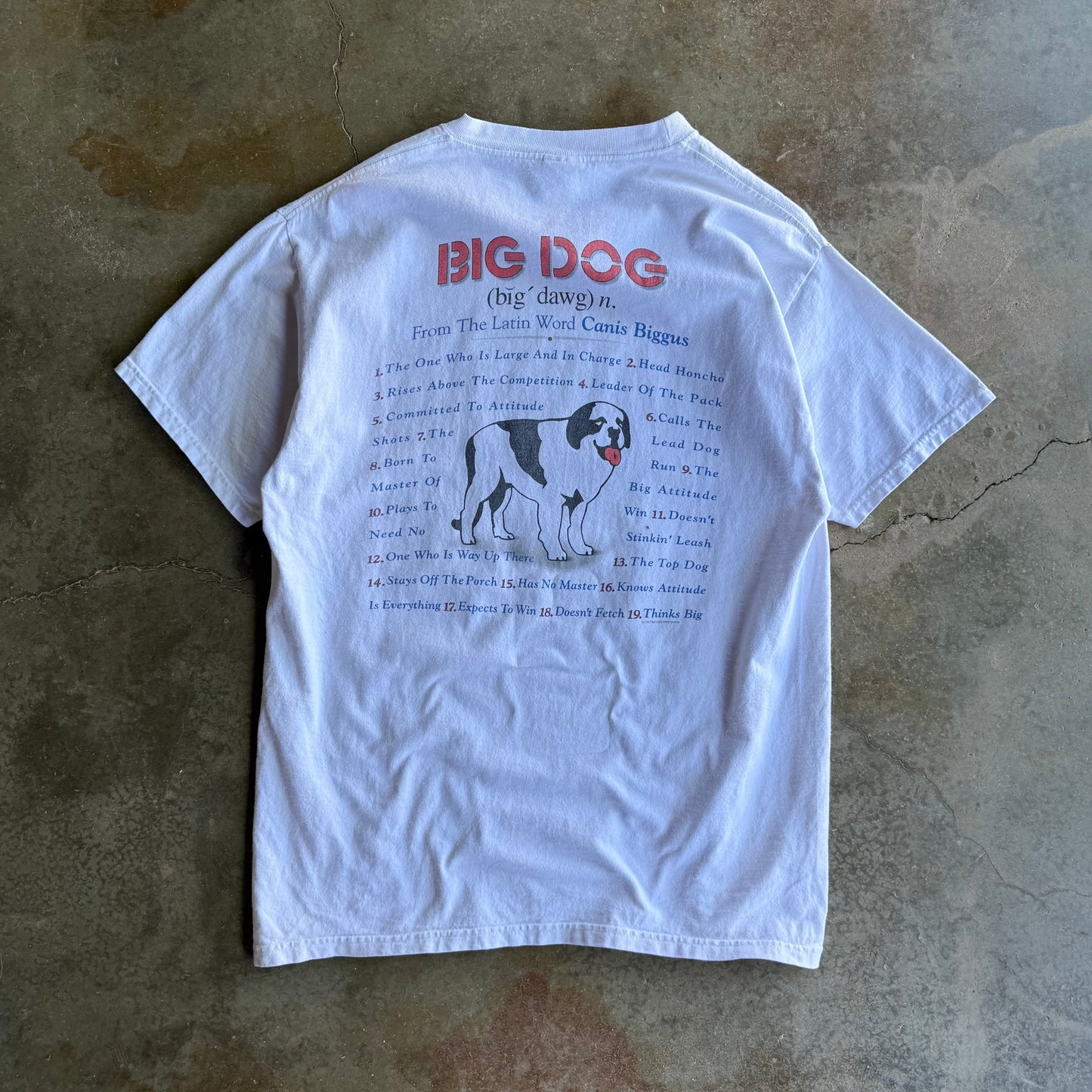 Vintage 00s Big Dogs Tee - L