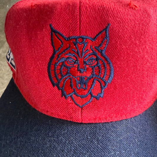 Vintage 90s Arizona Blockhead SnapBack Hat