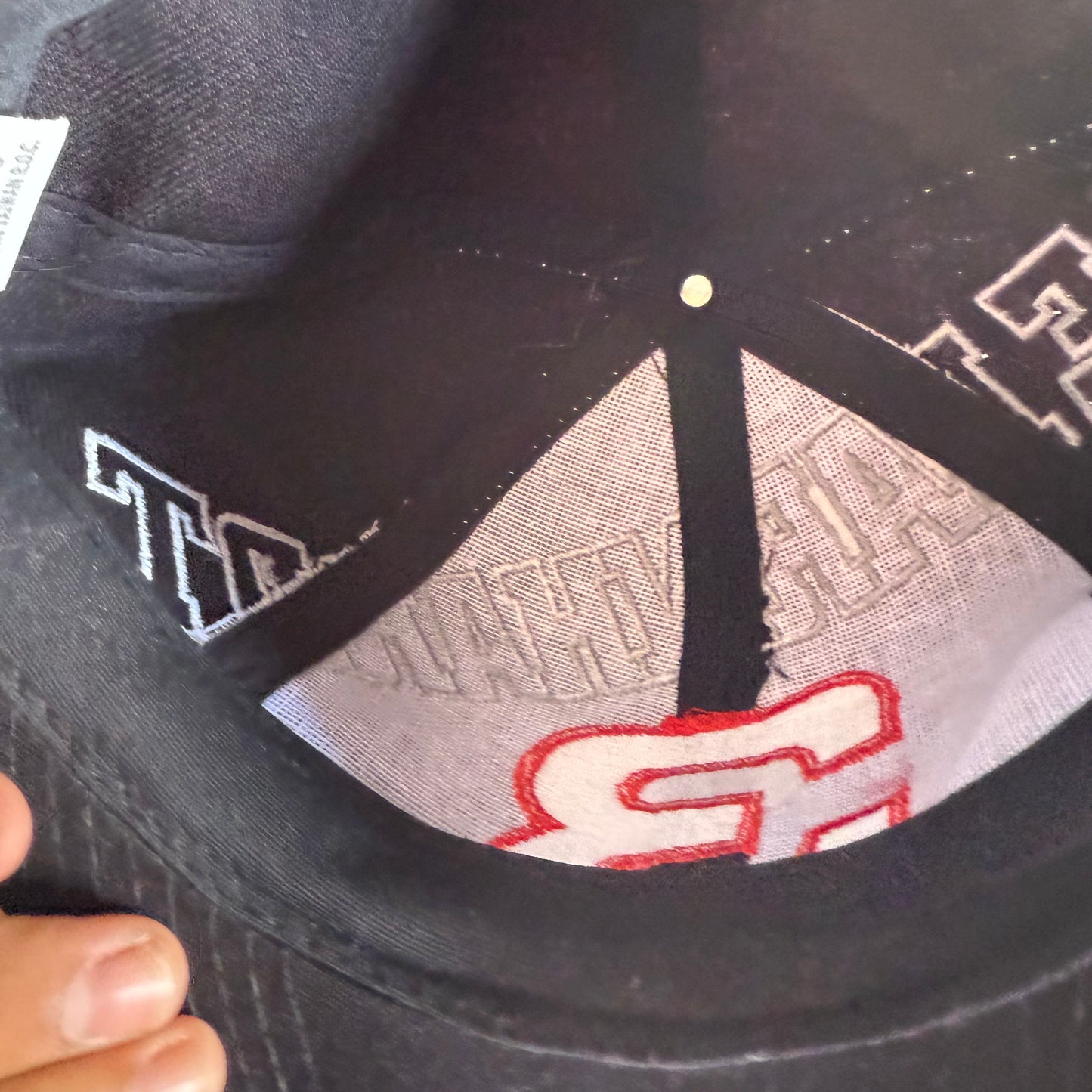 Vintage 90s Dale Earnhardt SnapBack Hat