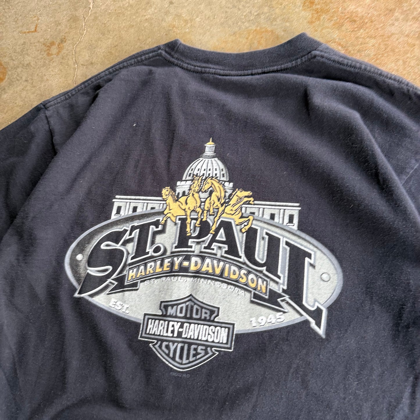 Vintage 00s Harley Davidson Tee - L