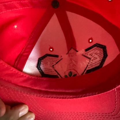Vintage 90’s Ohio State SnapBack Hat