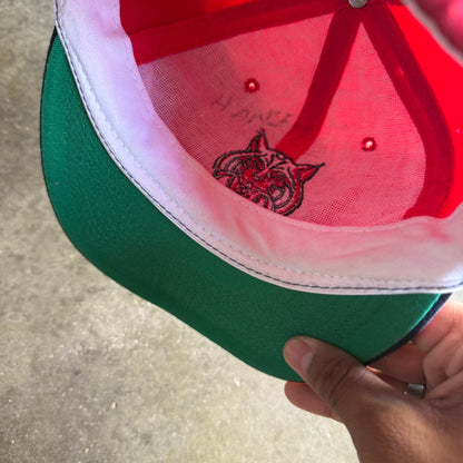 Vintage 90s Arizona Blockhead SnapBack Hat
