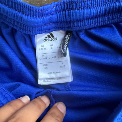 Vintage Blue Adidas Track Shorts - L
